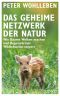 [The Mysteries of Nature Series 03] • Das geheime Netzwerk der Natur